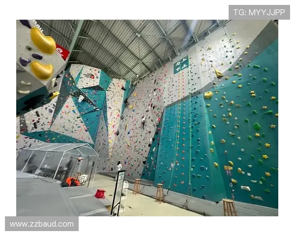 上海攀岩队配合问题引发热议各方观点交锋激烈 上海攀岩队配合问题引发热议各方观点交锋激烈