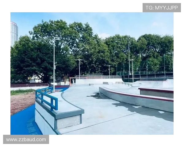 广州滑板队的控制艺术与深度探索滑板文化的魅力与挑战